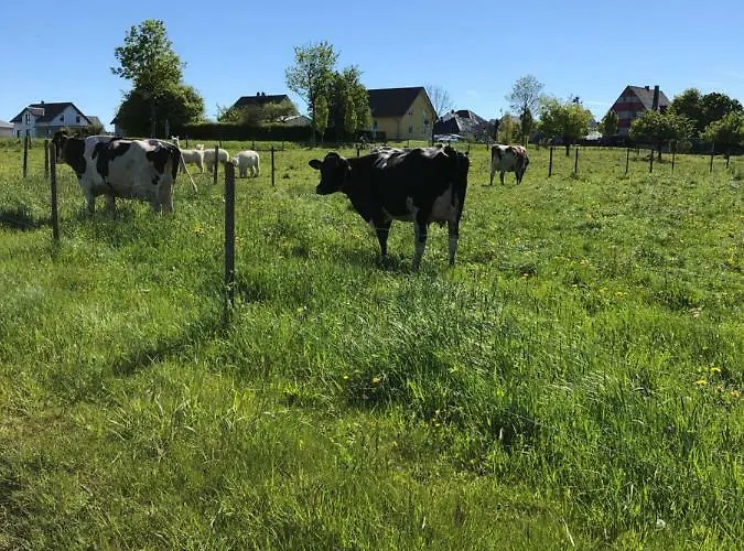 Hotel Village Lautzenhausen